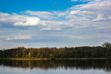 Fototapeta premium classic spring landscape, trees reflected in the water surface of a calm lake