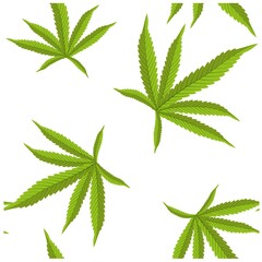 Beautiful realistic closeup of green cannabis on colorful background for wallpaper design. Botanical background. Seamless vector pattern.