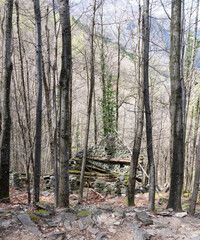 Altes Steinhaus im Tessin