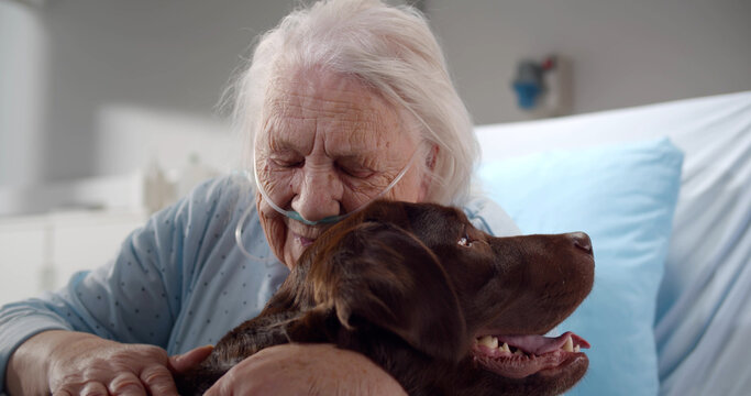 Close up portrait of aged woman patient hugging and stroking dog in clinic room