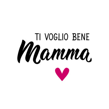 Translation from Italian: I love you mom. Vector illustration. Lettering. Ink illustration. Ti voglio bene Mamma