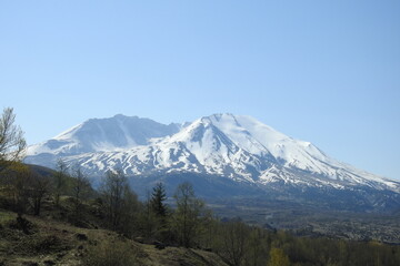 The beautiful scenery of the Gifford Pinchot National Forest with Mount St. Helens in the background, pacific northwest, Washington State.