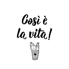 Translation from Italian: That's life. Vector illustration. Lettering. Ink illustration.