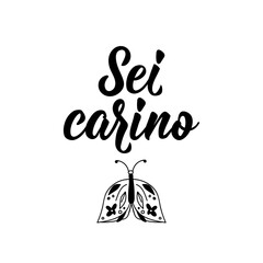 Translation from Italian: You're cute. Vector illustration. Lettering. Ink illustration. Sei carino