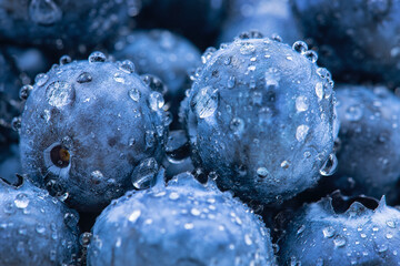 Heidelbeeren - Blaubeeren