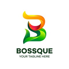 Letter B colorful premium vector logo template