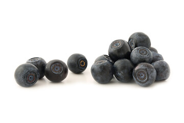 Bilberry isolated on white