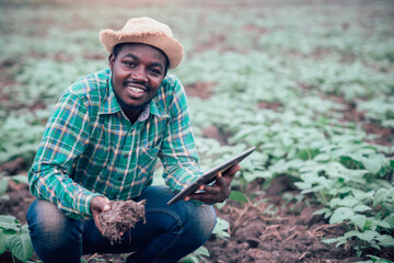 Naklejka na ściany i meble African farmer using tablet for research soil in organic farm.Agriculture or cultivation concept