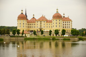 Fototapeta premium Schloss Moritzburg mit Park und See