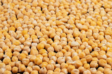 Lots of raw chickpea grains shot in perspective. Food background