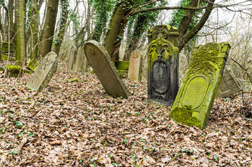 częstochowa województwo śląskie polska 04 04 2021 cmentarz żydowski w częstochowie