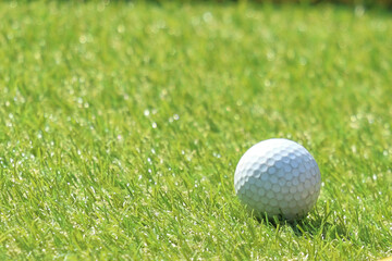 ball playing table golf on a sunny day close up