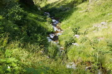 Panorama rund um die Moar Alm, Berghütte in der Texelgruppe, Südtirol.