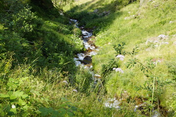 Panorama rund um die Moar Alm, Bergh&uuml;tte in der Texelgruppe, S&uuml;dtirol.