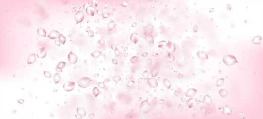 Cherry Sakura Petals Confetti. Flying Japanese Sakura Rose Cherry