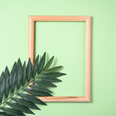 palm tree leaf and wooden frame on green background. Top view