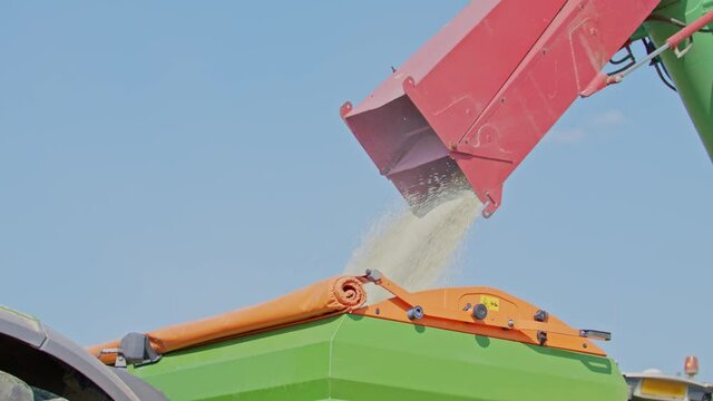 Loading fertiliser on a mounted green fertilizer spreader on agricultural campaign