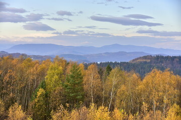 Naklejka na ściany i meble Pogórze Rożnowskie, Polska, szlaki górskie, jesień