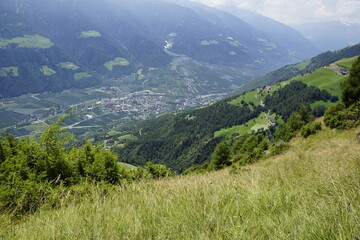 Fototapeta na wymiar Panoramen am Meraner Höhenweg zwischen Naturnes und dem Hochganghaus, Texelgruppe, Südtirol.