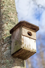 The birdhouse hangs on a tree trunk. House for birds. Protection of Nature. Protect birds. Close-up.