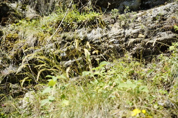 Panoramen am Meraner Höhenweg zwischen Naturnes und dem Hochganghaus, Texelgruppe, Südtirol.