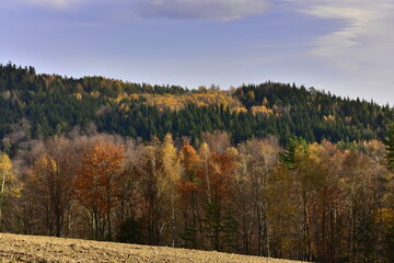 Pogórze Rożnowskie, Polska, szlaki górskie, jesień © Albin Marciniak
