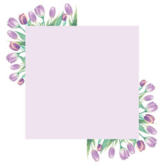 Aquarelle floral copy space frame with flowers. Watercolor hand painted square greeting card for wedding, easter, birthday, holidays. Frame with purple tulips.