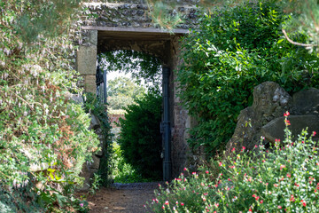 Fototapeta na wymiar door in the garden