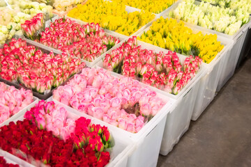 Red, orange, yellow, pink in plastic boxes transport and storage for sale in flower shops.