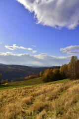 Naklejka na ściany i meble Pogórze Rożnowskie, Polska, szlaki górskie, jesień