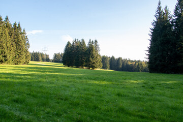 Fototapeta na wymiar Wanderung auf dem Fernwanderweg Rennsteig im Thüringer Wald von Neustadt nach Limbach. Hier eine wunderschöne Lichtung mit sattem grünen Rasen.