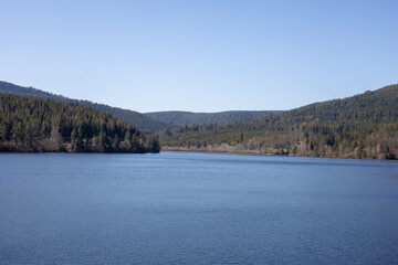 Wunderschöner See im Schwarzwald an einer Talsperre mit Bäumen im Hintergrund