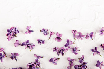 Scattering of lilac flowers on the white background. Flat lay. Minimalist style. Space for text