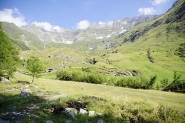 Fototapeta na wymiar Wanderweg zum Abstieg zum Ortsteil Zeppichl von Pfelders in den Alpen, Südtirol