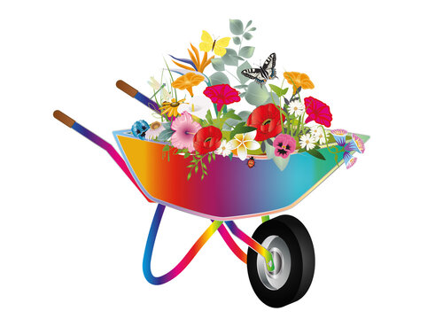 farbenfrohe Blumenpracht in einer Schubkarre