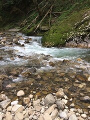 Fototapeta premium mountain river in the forest