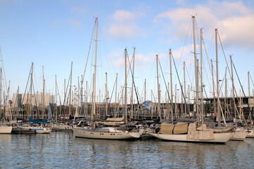 Fototapeta premium The sailboats are in the harbor.