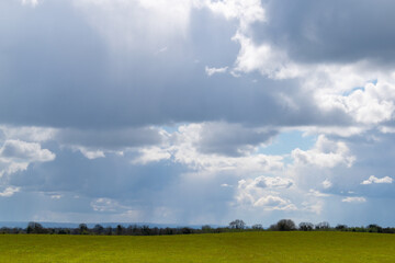 Agricultural nurseries and plants in a field ,rural landscape.