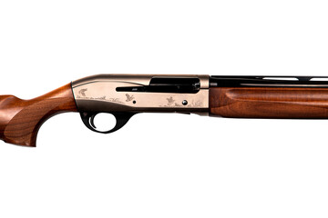 Classic smooth-bore semi-automatic hunting rifle, receiver close-up