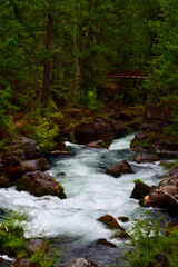 waterfall in the forest