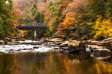 dramatic autumn landscape photo taken in Swallow Falls State Park in Western , Maryland. - obrazy, fototapety, plakaty