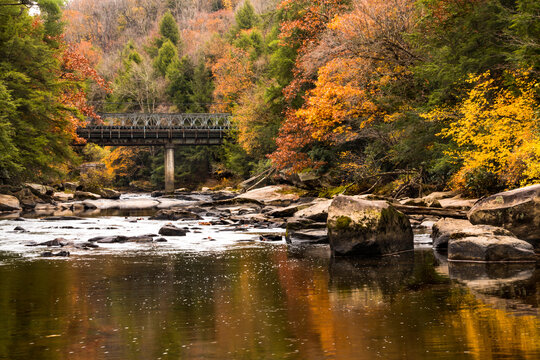 dramatic autumn landscape photo taken in Swallow Falls State Park in Western , Maryland.