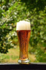 A glass of froth and bubbles on blurred background