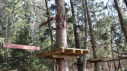 obstacle course for strong man in forest