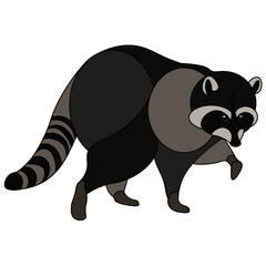 illustration of a raccoon