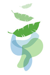 Natural plant banner, with green leaves, minimalist botanical poster. Background for interior design, tropical poster, with abstract spots, with overlay effect, with feathers, leaves and branches.