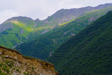 Naklejka premium Green gorge of the Cherek-Bezengi river near the village of Bezengi