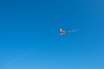 kite flying in the sky