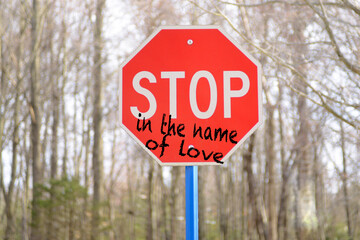 Stop in the name of love