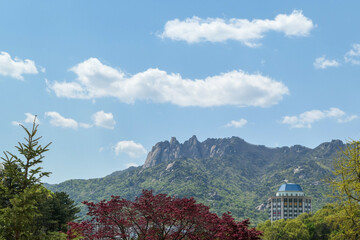 Obraz premium Landscape of Dobong mountain in Seoul